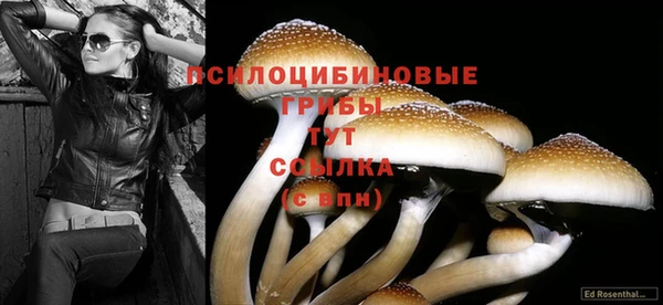 СК Корсаков