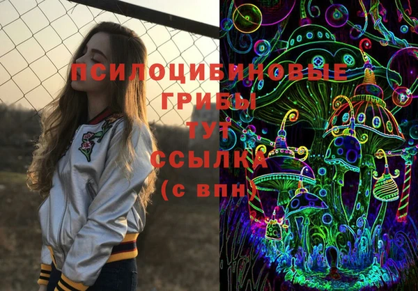 индика Коряжма