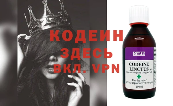 индика Коряжма