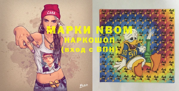 индика Коряжма