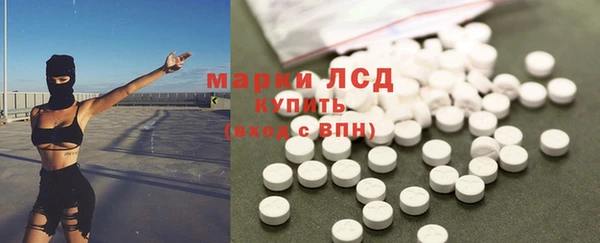 индика Коряжма