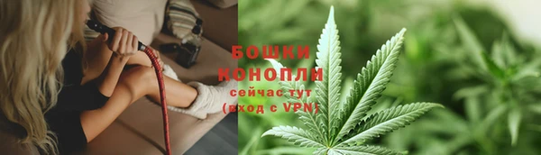 индика Коряжма