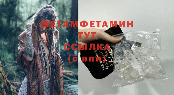 индика Коряжма