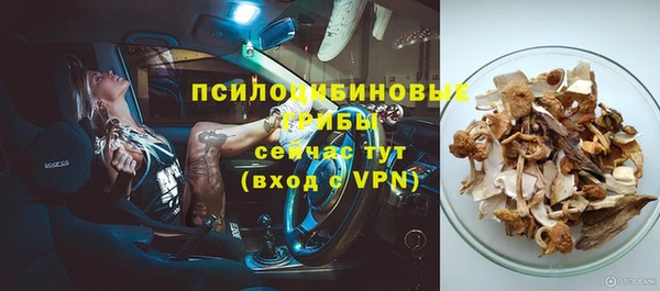 СК Корсаков