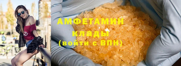 индика Коряжма