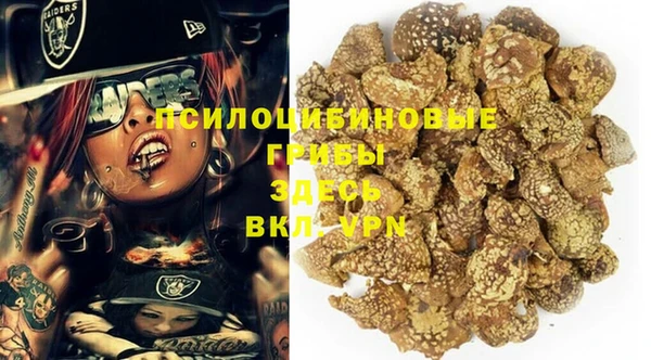 индика Коряжма