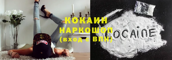 индика Коряжма
